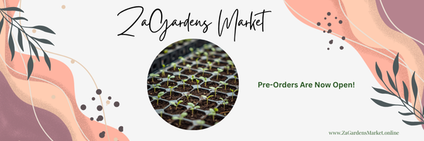 Spring Plant Pre-Order – ZaGardens Seed-Started Plants